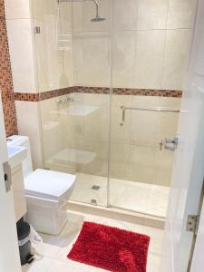 a bathroom with a shower with a toilet and a red rug at HATILLO SUITE in Caracas