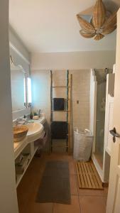 ein Bad mit einem Waschbecken, einem WC und einer Dusche in der Unterkunft Celadon guadeloupe in Sainte-Anne