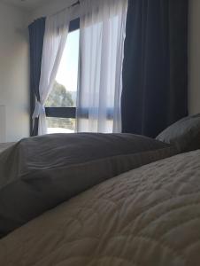 Легло или легла в стая в Las Amapolas Jujuy