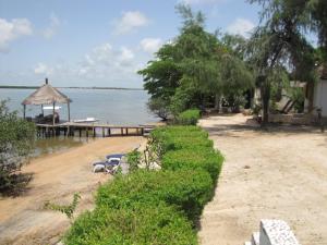 a row of bushes on a beach next to the water at Bazouk Du Saloum Ecolodge in Mar Lodj