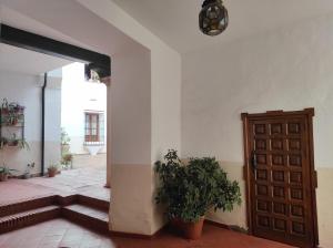 a hallway with a door and a potted plant at Apartamento Armiñán Ronda- parking opcional in Ronda