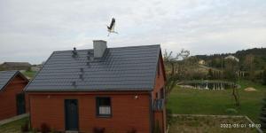 DąbrowaDom wakacyjny Poniatówka的鸟飞过房子