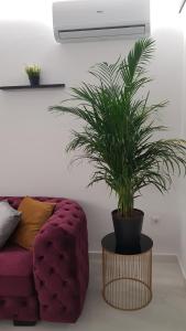 Apartamento Pepi Puerto (Adults Only)的休息区