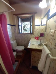 a bathroom with a toilet and a sink and a mirror at La Encina Casa Rural in El Quejigo