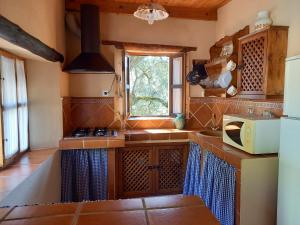 uma cozinha com um lavatório e um micro-ondas em La Encina Casa Rural 