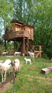 un groupe de moutons debout devant une cabane dans les arbres dans l'établissement Treehouse Toplak, à Ruše