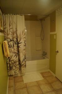 a bathroom with a tub and a shower curtain at Maison d'Imelda in Petit-Saguenay