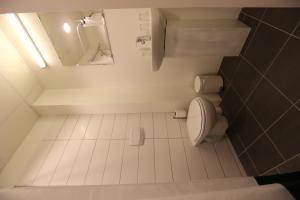 Koupelna v ubytování 100 Iceland Hotel