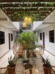 a patio with a table and chairs and plants at POSADA SAN FRANCISCO in Dolores