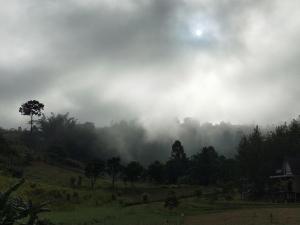 a foggy field with trees and a house in the background at The O'clock Farmstay Khaokor in Khao Kho