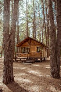 uma cabana de madeira no meio de uma floresta em Cabaña de Duendes em San Rafael
