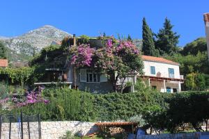 Hrvatska, SLANO, Apartments with a parking space Slano, Dubrovnik - 8540