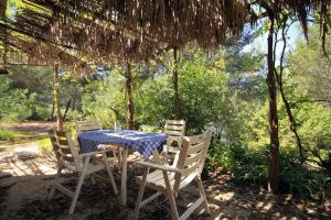 Vonkajšia záhrada v ubytovaní Seaside holiday house Cove Grebisce, Hvar - 3375