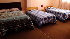 Un pat sau paturi într-o cameră la Hospedaje Santa Ana