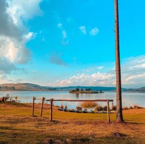 a tree sitting next to a body of water at Tedesco Eco Park in São Francisco de Paula