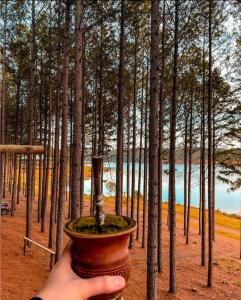 a hand holding a vase in front of some trees at Tedesco Eco Park in São Francisco de Paula