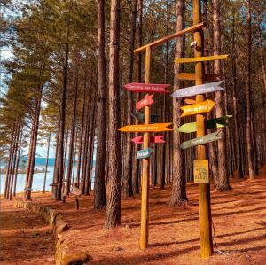 a group of wooden signs in a forest at Tedesco Eco Park in São Francisco de Paula