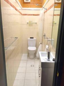 a bathroom with a toilet and a shower and a sink at Holly Lodge in Medlow Bath