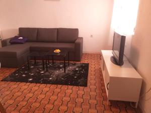 a living room with a couch and a tv at Apartments MILA in Ubli