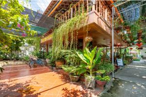 a building with a lot of plants in it at Alley Garden Homestay Hoi An in Hoi An