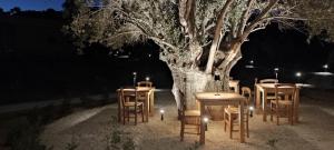 Fotografie z fotogalerie ubytování O Mikros Kosmos Hotel Resort - Adults Only v destinaci Sívas