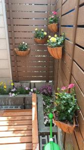 Guest House TIHARU 6bedrooms12people max and Straight to USJ and Near the hot springにある庭