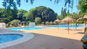 a swimming pool with straw umbrellas and a resort at Agata Views in Benalmádena