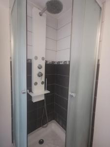 W łazience znajduje się prysznic ze szklanymi drzwiami. w obiekcie Appartement mezzanine aux portes de Rennes w mieście Vezin-le-Coquet