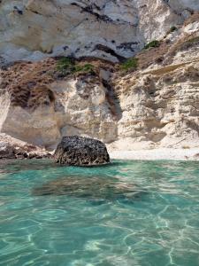 una roccia nell'acqua vicino a una spiaggia di Nice a Elmas