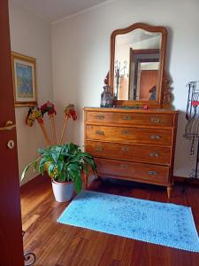 a bedroom with a dresser with a mirror and a plant at Nice in Elmas