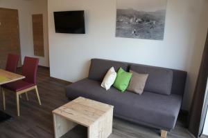 TV a/nebo společenská místnost v ubytování Apart Alpin