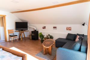 uma sala de estar com um sofá azul e uma televisão em Apartma ''Pri Movernu'' em Semič