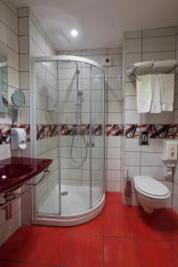a bathroom with a shower and a toilet at Logis Hôtel Centrotel et Spa Bulles d'Allier in Montmarault