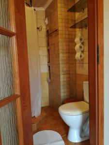 a bathroom with a white toilet and a shower at Pokój 2-osobowy z balkonem in Gdańsk