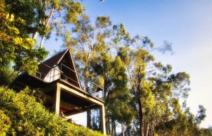 a house on top of a hill with trees at The Backyard Balangoda in Balangoda