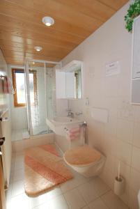 a bathroom with a toilet and a sink at Ferienwohnung Erhard in Silbertal