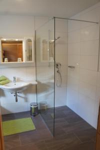 a bathroom with a glass shower and a sink at Apart Alpin in Lermoos
