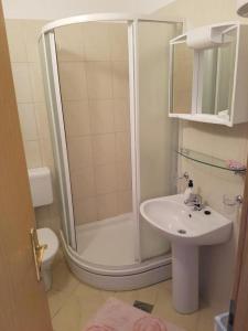 W łazience znajduje się prysznic i umywalka. w obiekcie Apartmani Jereb w mieście Drašnice