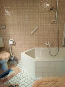 a bathroom with a bath tub and a toilet at Landhaus Wohnung in D 63667 Nidda, Gäßchen 8 Erdgeschoss rechts in Nidda