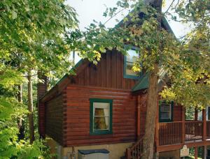 eine Blockhütte im Wald mit einem Baum in der Unterkunft Buddy Bear #249 in Pigeon Forge