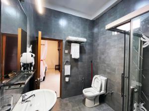 bagno con servizi igienici e lavandino di Welaratne Apartment a Nugegoda