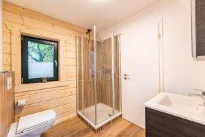 a bathroom with a shower and a toilet and a sink at Ferienhaus BergesGlück in Eslohe