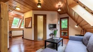 salon z kanapą i stołem w obiekcie VisitZakopane - Tetmajera Apartment w Zakopanem