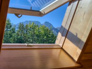 ein Fenster in einem Zimmer mit Blick auf die Bäume in der Unterkunft VisitZakopane - Tetmajera Apartment in Zakopane