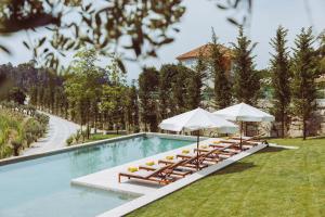 uma piscina com espreguiçadeiras e guarda-sóis em Oliveiras Village — Agroturismo em Amarante
