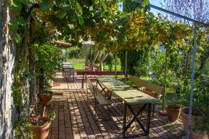 un patio con mesa y sillas bajo un árbol en Limosa Country House, en Spigno Saturnia