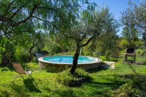 una piscina en un patio con un árbol y una silla en Limosa Country House, en Spigno Saturnia