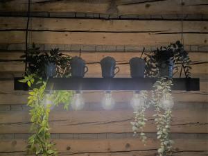 Fotografia z galérie ubytovania Willa Piwniczka Apartament Jahlowej v destinácii Piwniczna