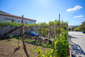 Zahrada ubytování Apartment Falichi