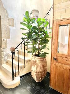 uma planta em um potenciômetro grande ao lado de uma escada em La Maison du Trident en Camargue Piscine et Jacuzzi em Vauvert